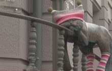 Скульптури котів в Одесі після першого снігу одягнули у шапки, шарфи і шкарпетки (відео)