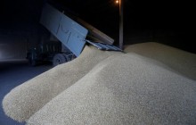 Economy ministry assures Ukraine has enough wheat