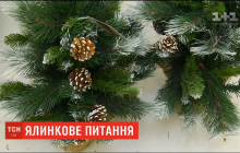 Какой будет главная новогодняя елка Украины в этом году (видео)