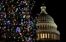 У Вашингтоні та Лондоні запалили вогні різдвяних ялинок (фото, відео)