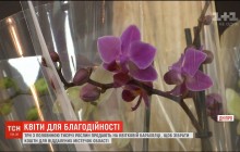 В Днепре организовали благотворительную распродажу цветов из Нидерландов (видео)
