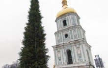 Сборная красавица высотой 30 метров: в Киеве установили главную елку Украины (фото)