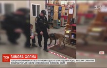 В США полиция учит служебных овчарок ходить в зимней обуви (видео)