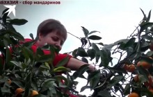 "Экономическое чудо по-русски": жители "ЛДНР" подались на заработки в непризнанную Абхазию - журналист (видео)