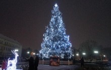 На Закарпатье в один день зажгли две официальные елки (фотогалерея)