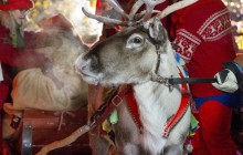 В Калифорнии семья случайно превратила свой дом в представительство Санты (видео)