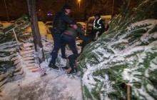 У Києві спроба вкрасти ялинку переросла в бійку - в хід пішли ножі та сокири (відео)