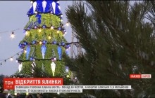 Самая высокая в Украине: в Харькове открыли главную елку города (видео)
