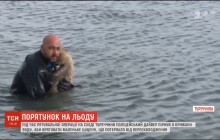 Турецкий полицейский нырнул в ледяную воду ради спасения щенка (видео)