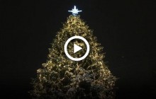 «Росла собі ялиночка»: як виглядають новорічні ялинки в різних містах України (відео)