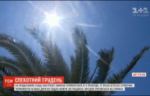 В Австралии жара бьет температурные рекорды (видео)