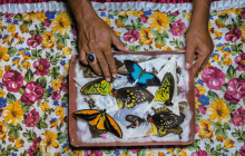 National Geographic обнародовал лучшие фотографии 2018 года