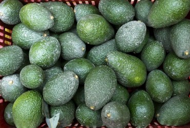 Твердые авокадо созревают за день: шеф-повар раскрыл секретный способ