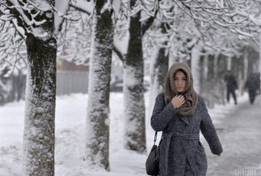 В Одесской области из-за непогоды начались проблемы на дорогах, школы переходят на дистанционку