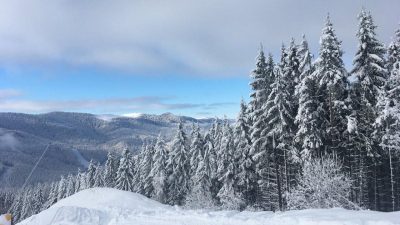 The Carpathian Mountains / Photo by Veronika Kordon The Carpathian Mountains / Photo by Veronika Kordon