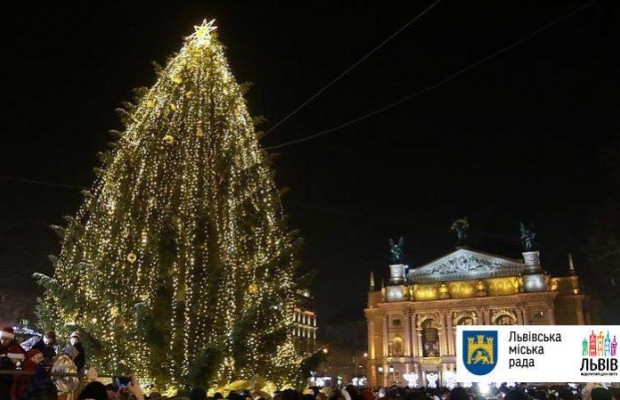 20 метрів заввишки: Львів готується до відкриття головної ялинки міста