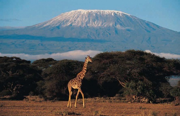 Без повара и официанта не пустили: украинец рассказал о восхождении на Килиманджаро