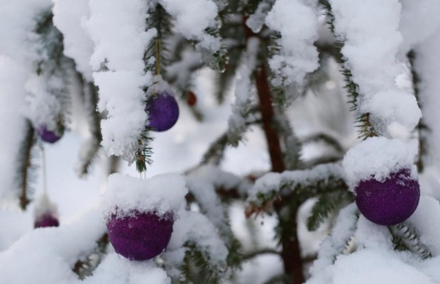 Чудеса та аномалії на Новий рік і хто такі злі демони Різдва (відео)