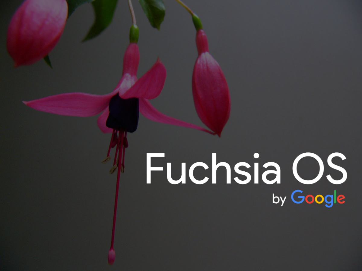 Fuchsia OS будет поддерживать Android-приложения / analyticsindiamag.com Fuchsia OS будет поддерживать Android-приложения / analyticsindiamag.com