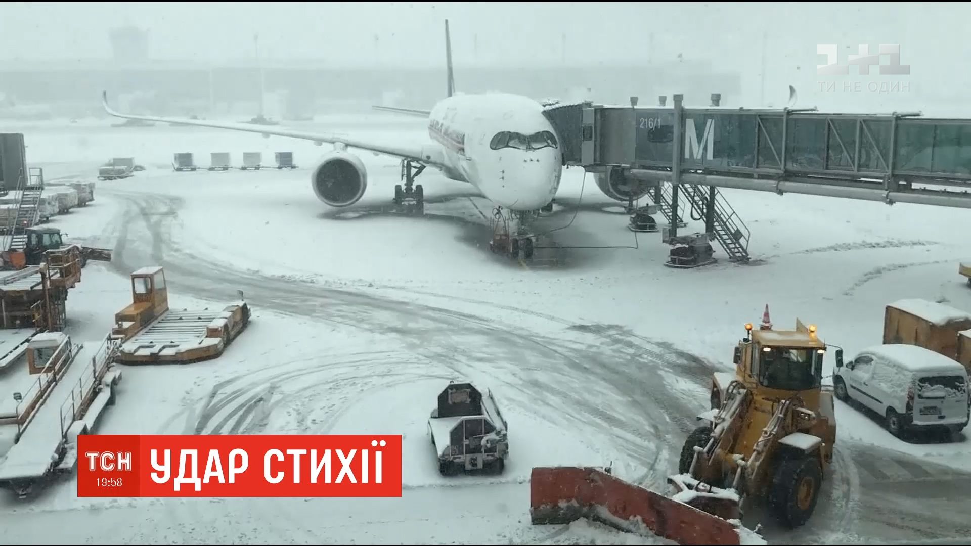 Из-за сильного снегопада в аэропорту Мюнхена отменили 120 рейсов (видео) Из-за сильного снегопада в аэропорту Мюнхена отменили 120 рейсов (видео)