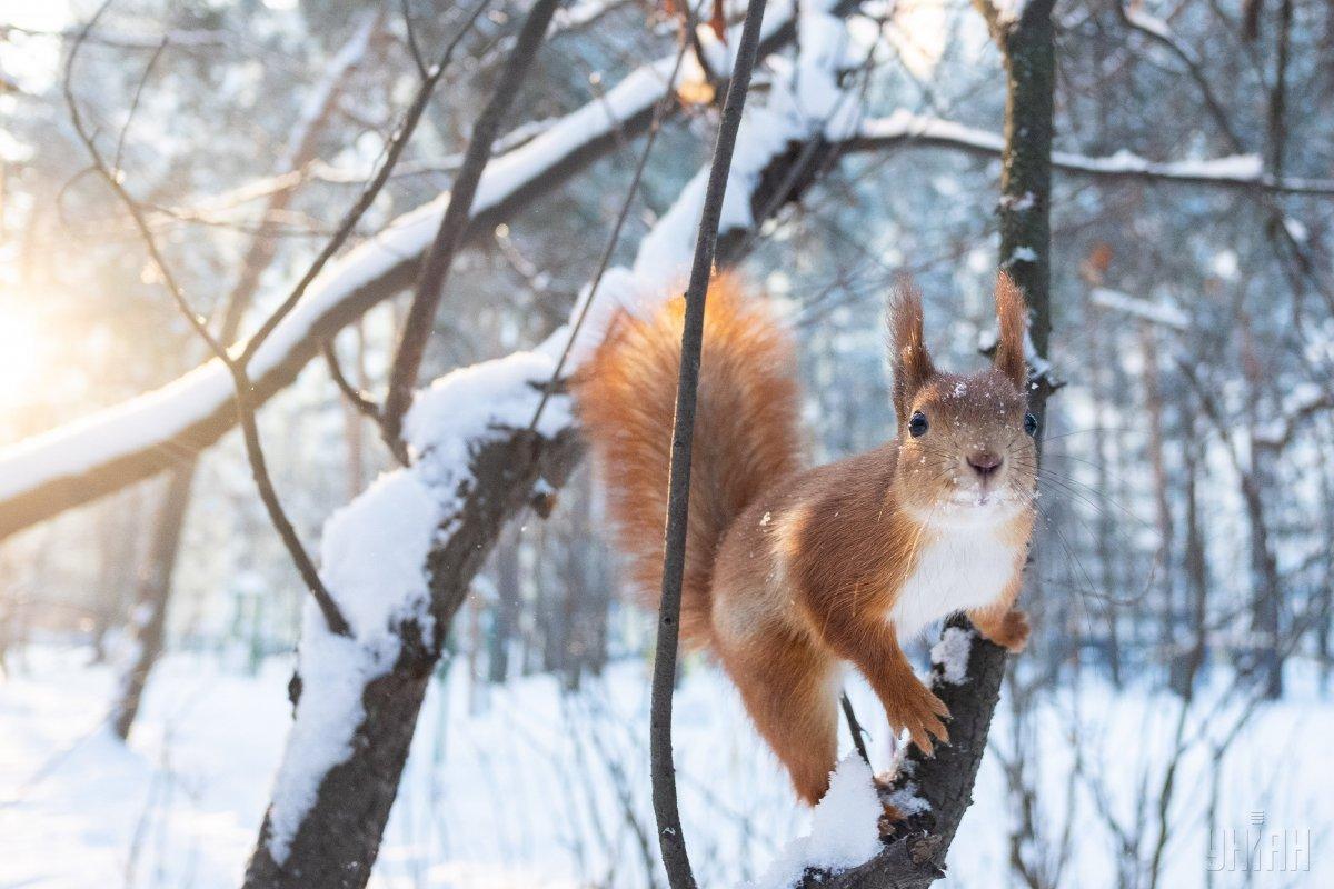 Сьогодні в Україні буде холодно / Фото УНІАН Сьогодні в Україні буде холодно / Фото УНІАН