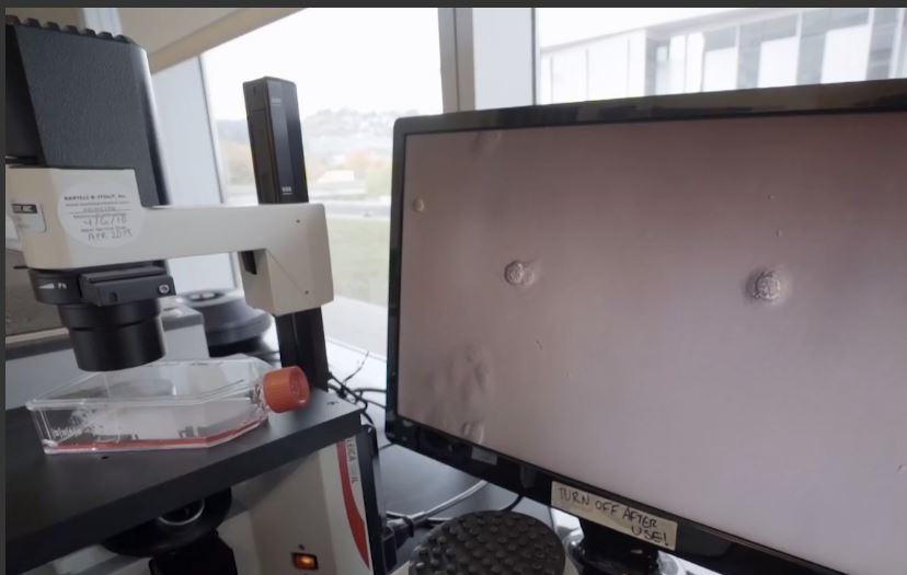 Науковцы называют изобретение Таратулів перспективным / Скриншот