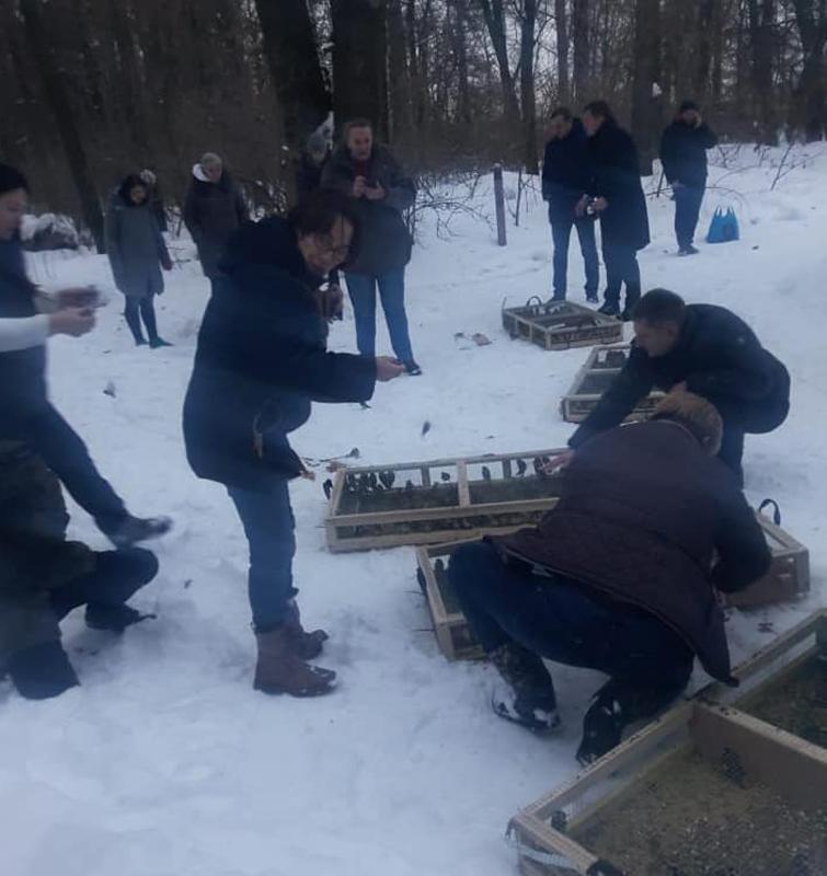 Птахів, яких без дозвільних документів намагалися вивезти в Йорданію, орнітологи випустили у лісі / фото Мінекології Птахів, яких без дозвільних документів намагалися вивезти в Йорданію, орнітологи випустили у лісі / фото Мінекології