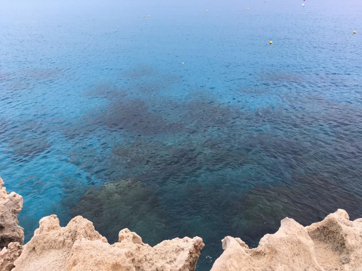  / фото Андрій Василюк