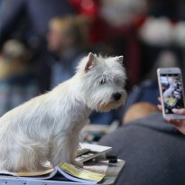 Когда украинцам ждать 5G: в Минцифры назвали сроки