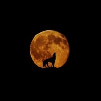 "Голубая луна", "космический поцелуй": главные астрономические события 2020 года