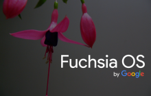 Убийца зеленого робота: новая Fuchsia OS будет поддерживать Android-приложения