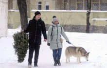 Лучшая - в горшке: украинцам рассказали, какую елку выбрать к новогодним праздникам