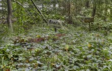 Kyiv to open first official pet cemetery by end of 2020
