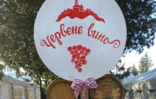 Пять дней вина и веселья в Мукачево: как проходит самый большой на Западной Украине фестиваль виноделия