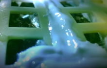 Перша пророщена на Місяці рослина загинула через холод