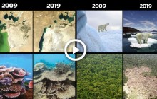 Флешмоб #10YearChallenge в екології: що втратила планета за 10 років (відео)
