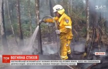 Австралийский штат Тасмания страдает от лесных пожаров (видео)