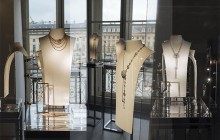 Надзвичайно чудові камелії розквітли у центрі Парижу