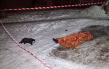 В Днепре 15-летняя руферша сорвалась с балкона 11 этажа (фото)