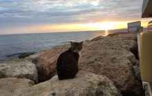 Експерти назвали країну з найчистішим морем