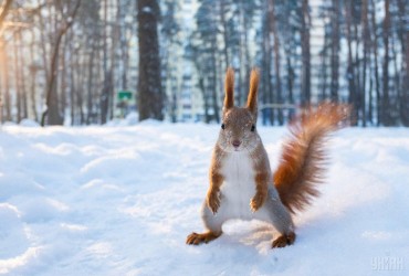 На вихідних українців чекає різка зміна погоди (карта)