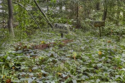 Locals have to bury pets on unofficial cemeteries / Photo by Dmitriy Protsenko, flickr.com
