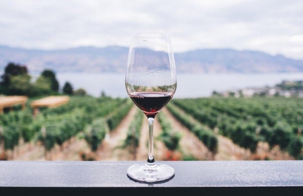 Город-пикник и вино: путешественник рассказал о главной "фишке" французского Бордо