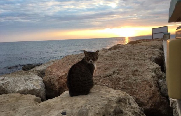 Експерти назвали країну з найчистішим морем