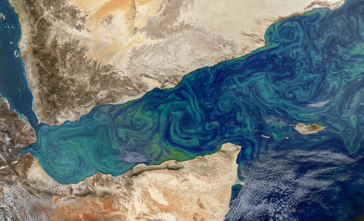 Вчені шукали закономірності зміни відтінку океану / фото NASA'S Earth Observatory