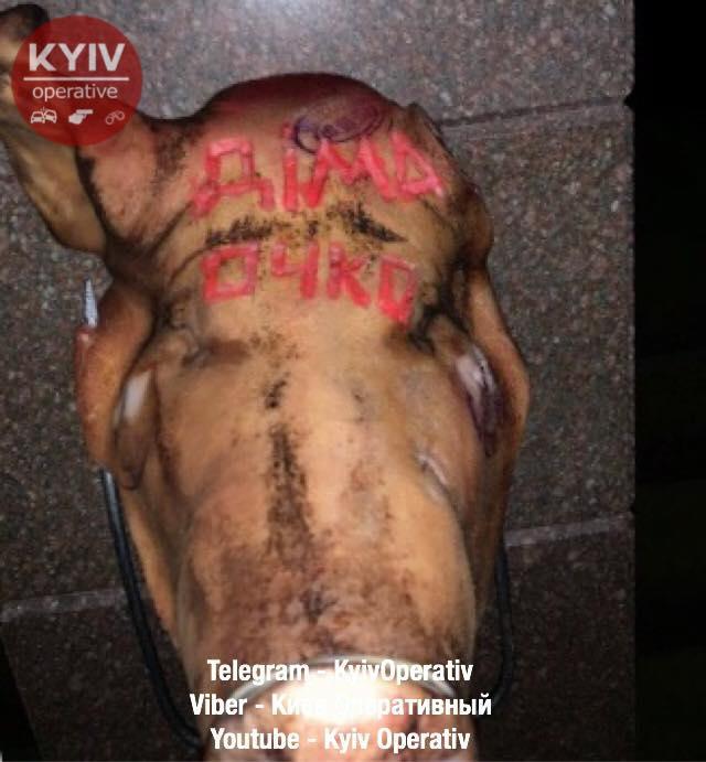 Голову свині накололи на вила / фото оперативний Київ Голову свині накололи на вила / фото оперативний Київ