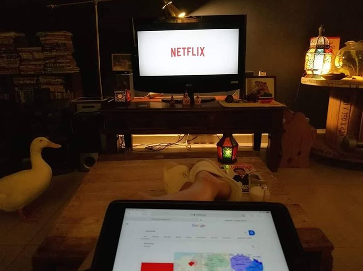 Качка дивиться з хазяйкою телевізор / фото instagram.com/daily_daisy_duck