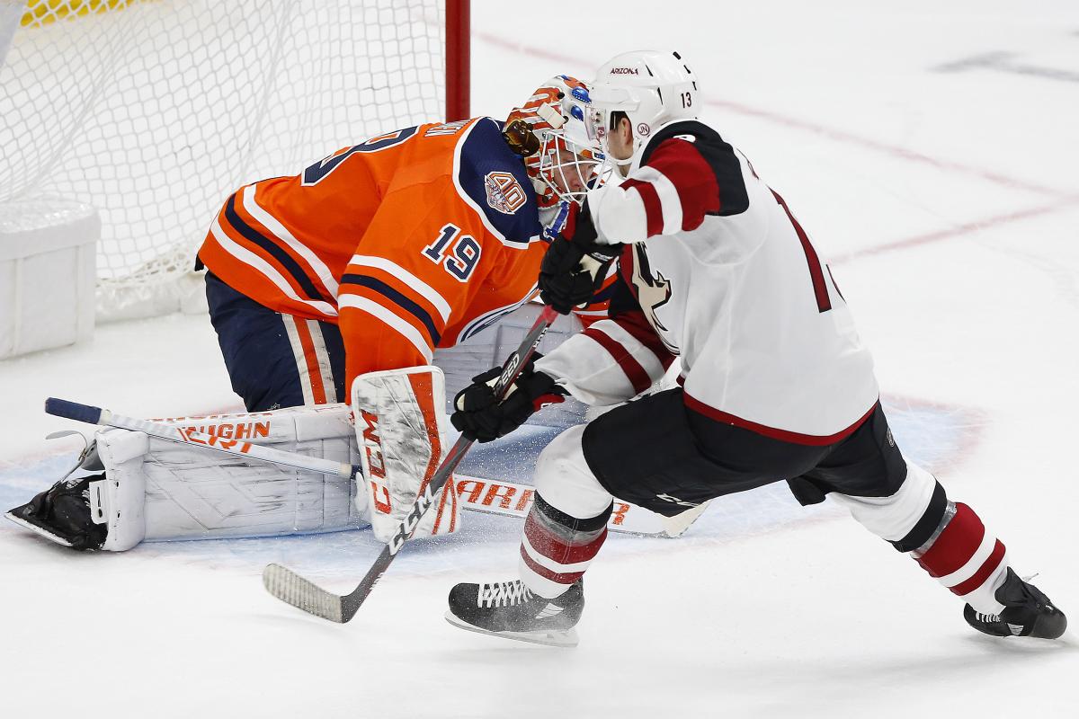 Едмонтон - Арізона / REUTERS