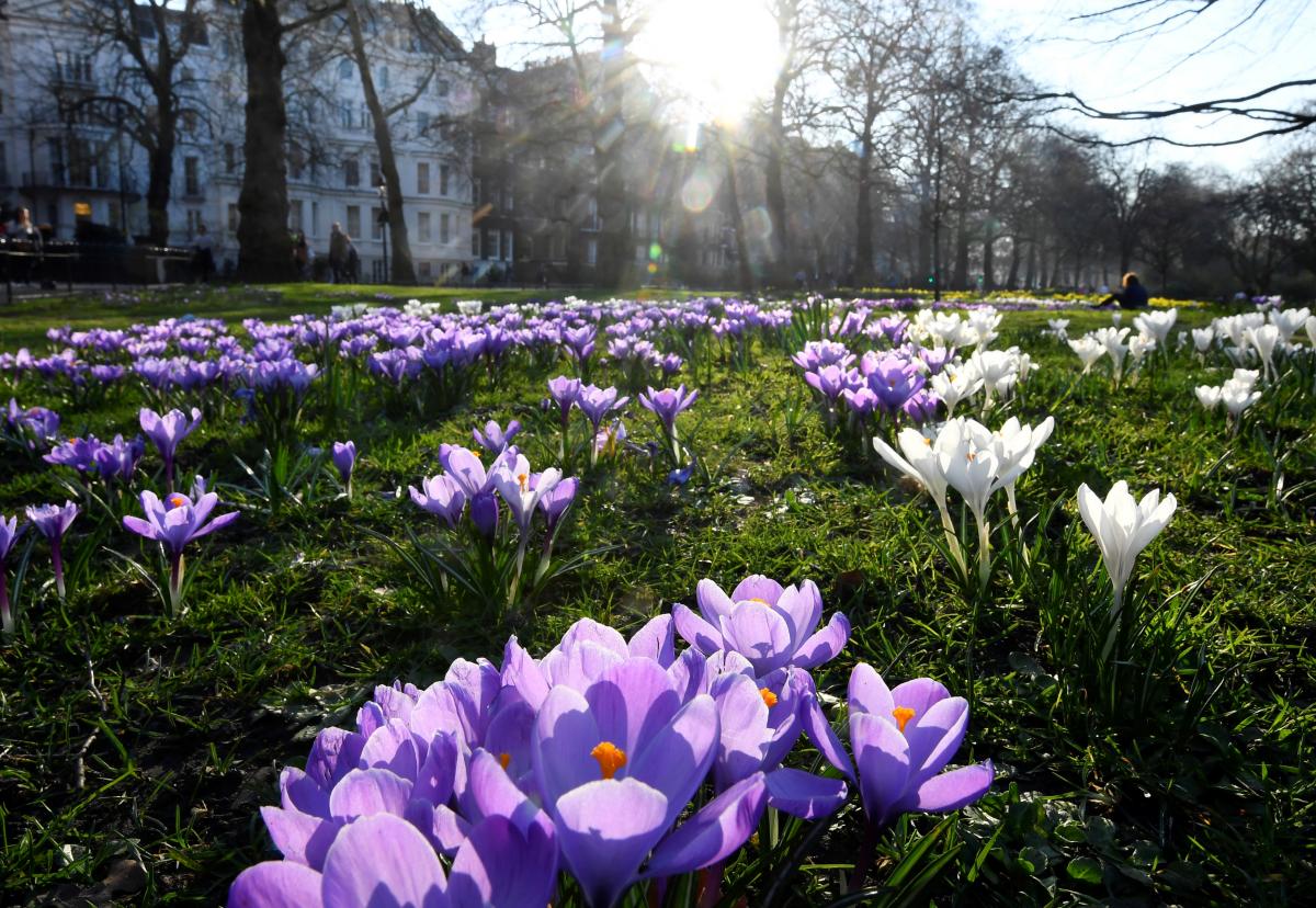 Иллюстрация / REUTERS