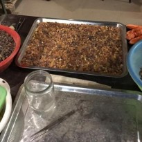 SBU seizes 6.5 tonnes of amber from illegal "factory" in Odesa region (Photo)